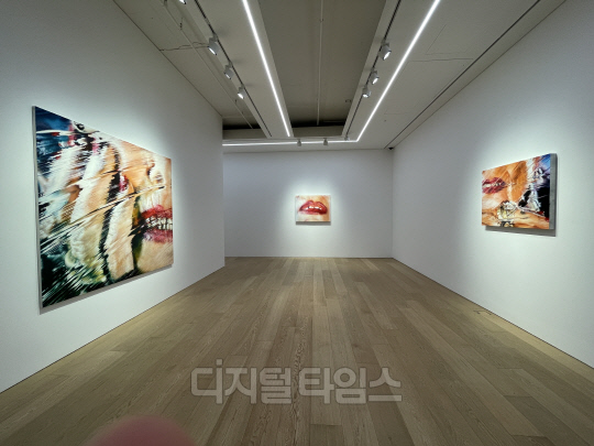 마릴린 민터 개인전 설치 전경. 사진=박은희 기자